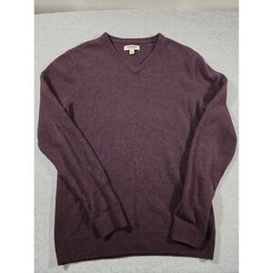 Goodthreads Mens Burgundy 100% Lambswool V-Neck Sweater Medium Tall MT Purple